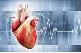 Кардиология, ЭКГ