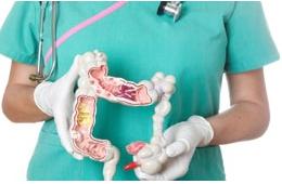 Гастроэнтеролог, ФГДС